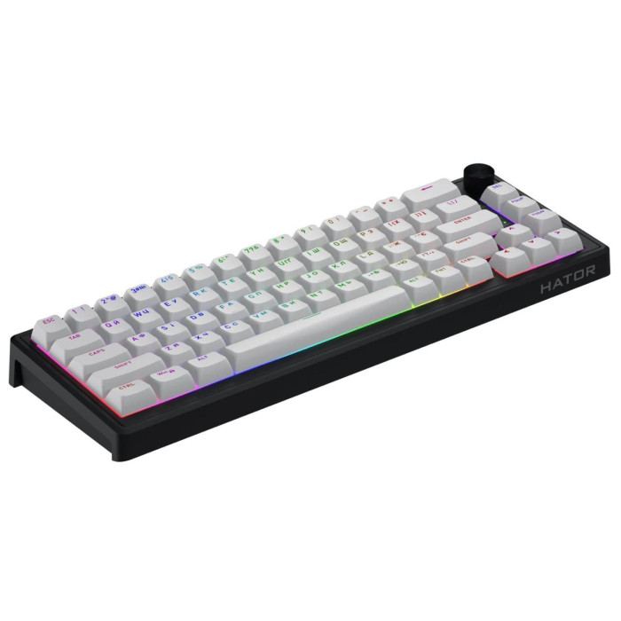 Игровая проводная клавиатура HATOR Skyfall 65 MAG ULTRA 8K HTK1860UA Black-white