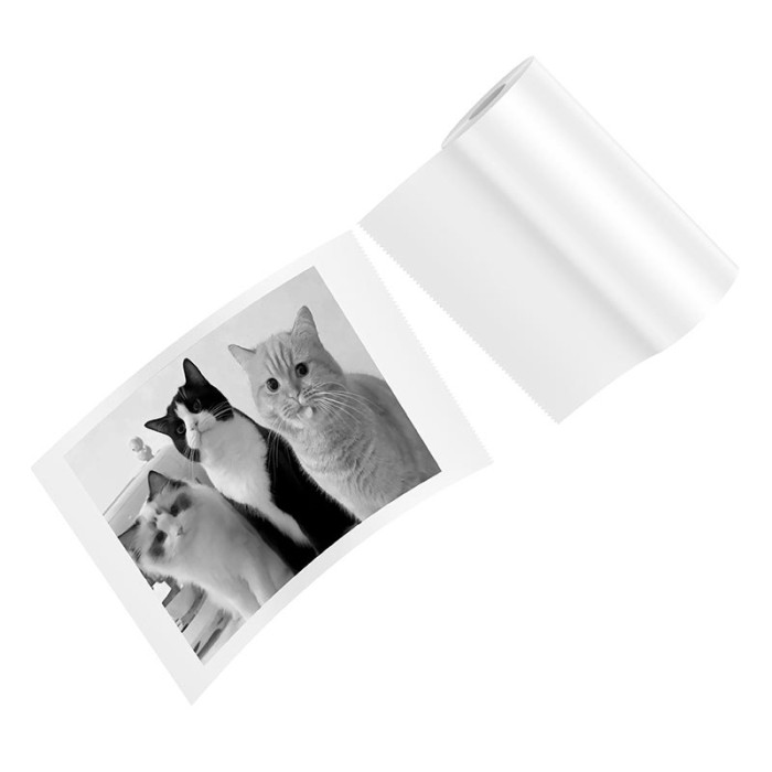 Фотопапір для фотоапарата HOCO White