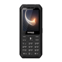 Мобільний телефон Sigma mobile X-style 310 Force Black