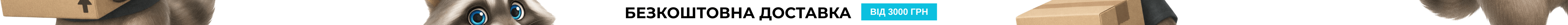 Banner Top